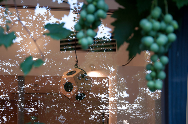 -報告-2014/7/26 around the table 三谷龍二 辻和美 安藤雅信 三人展 記念パーティー「モリ、そして ウタゲ」@[奈良]秋篠の森